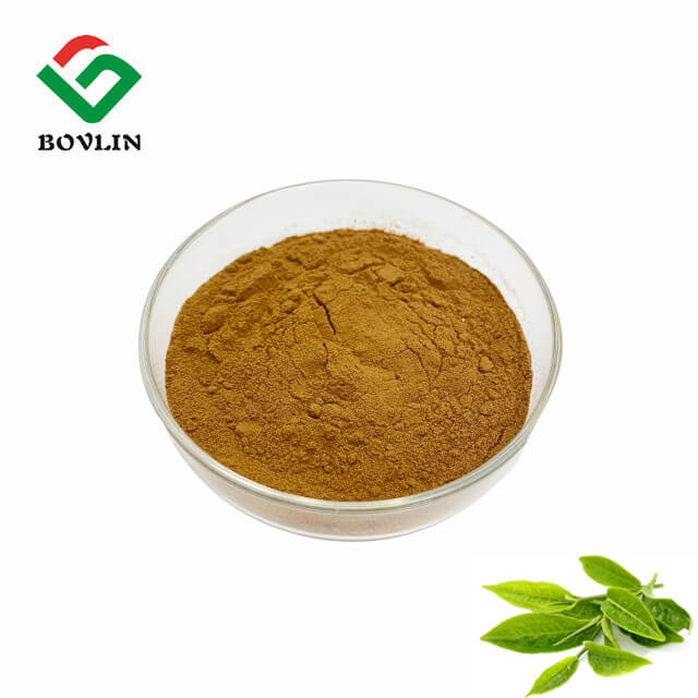 Catechin-Pulver